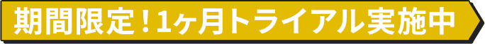 期間限定！1ヶ月トライアル実施中